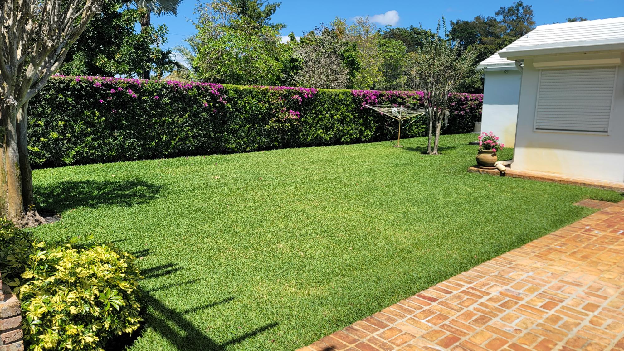 Florida Lawn maintenance with good irrigation