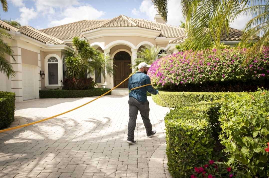 expert in Lawn Maintenance Services in West Palm Beach.