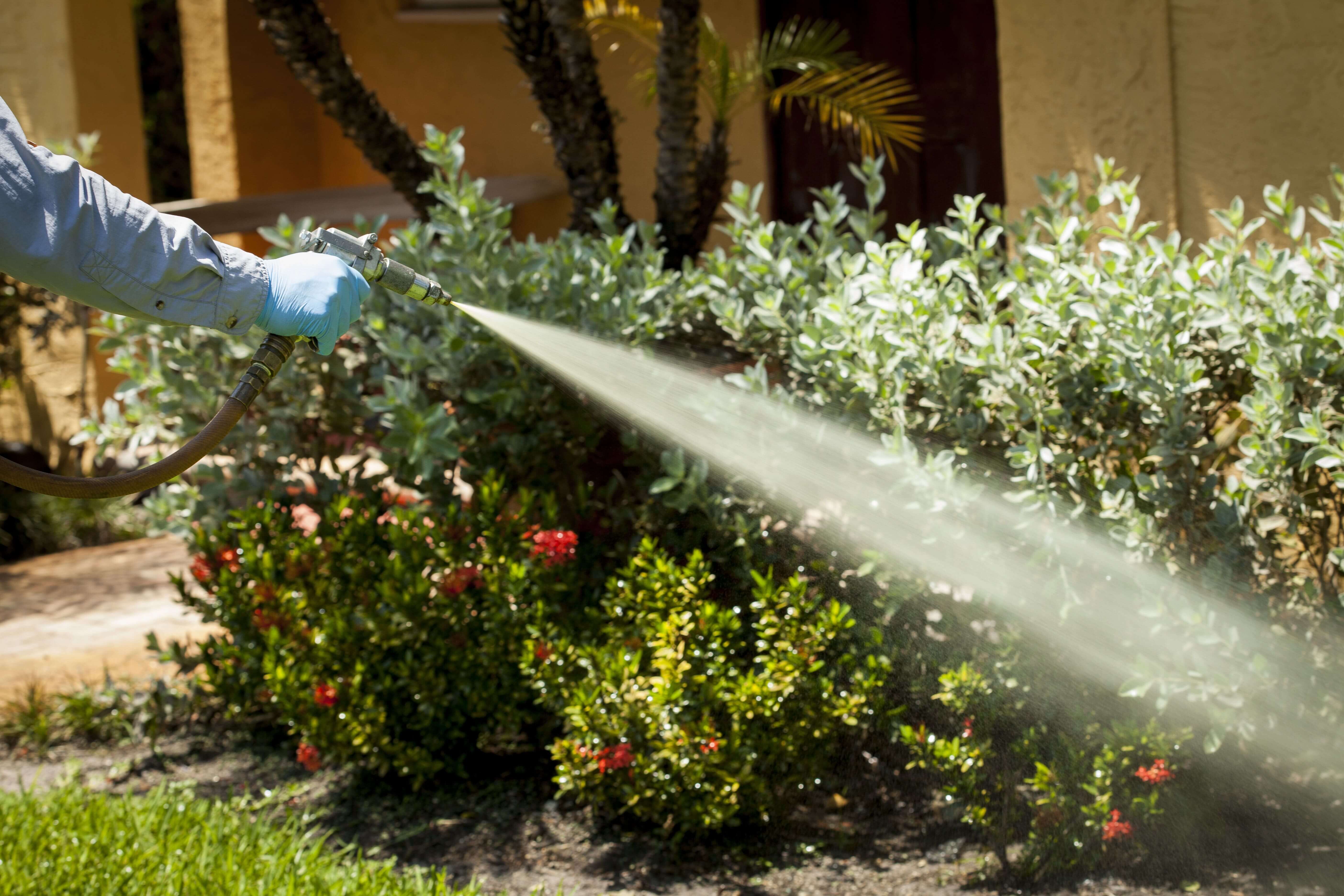 high-quality stone landscape in west palm beach