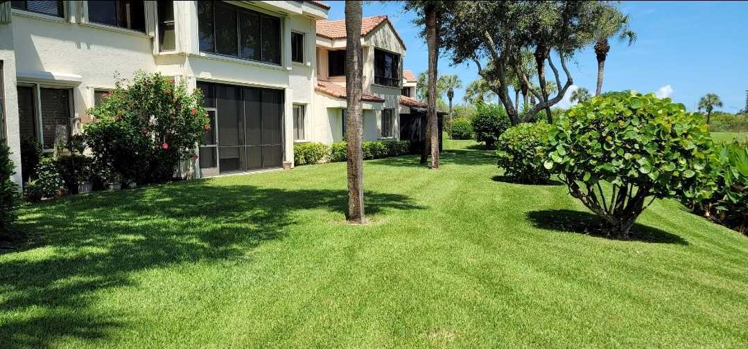 beautiful results of Lawn Disease Care in West Palm Beach