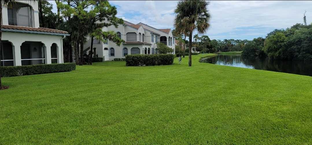 after Lawn Maintenance in West Palm Beach