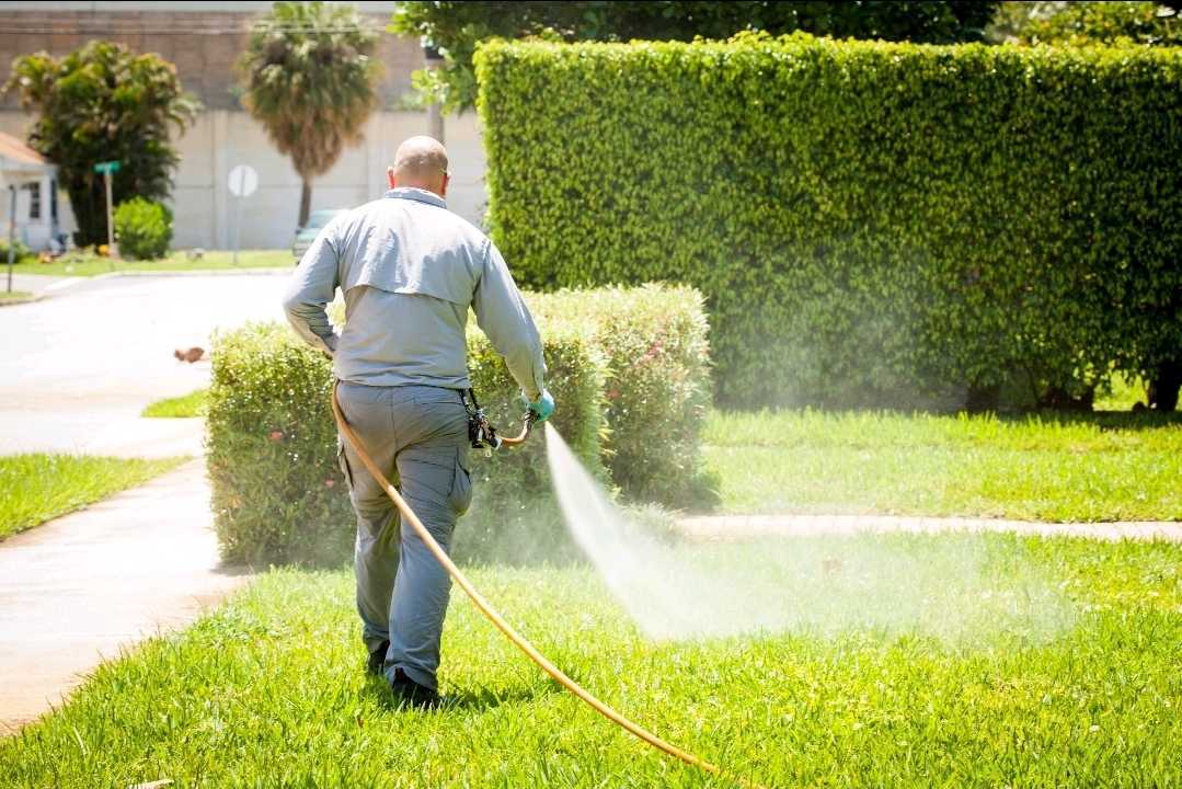 an expert in Lawn Maintenance in West Palm Beach