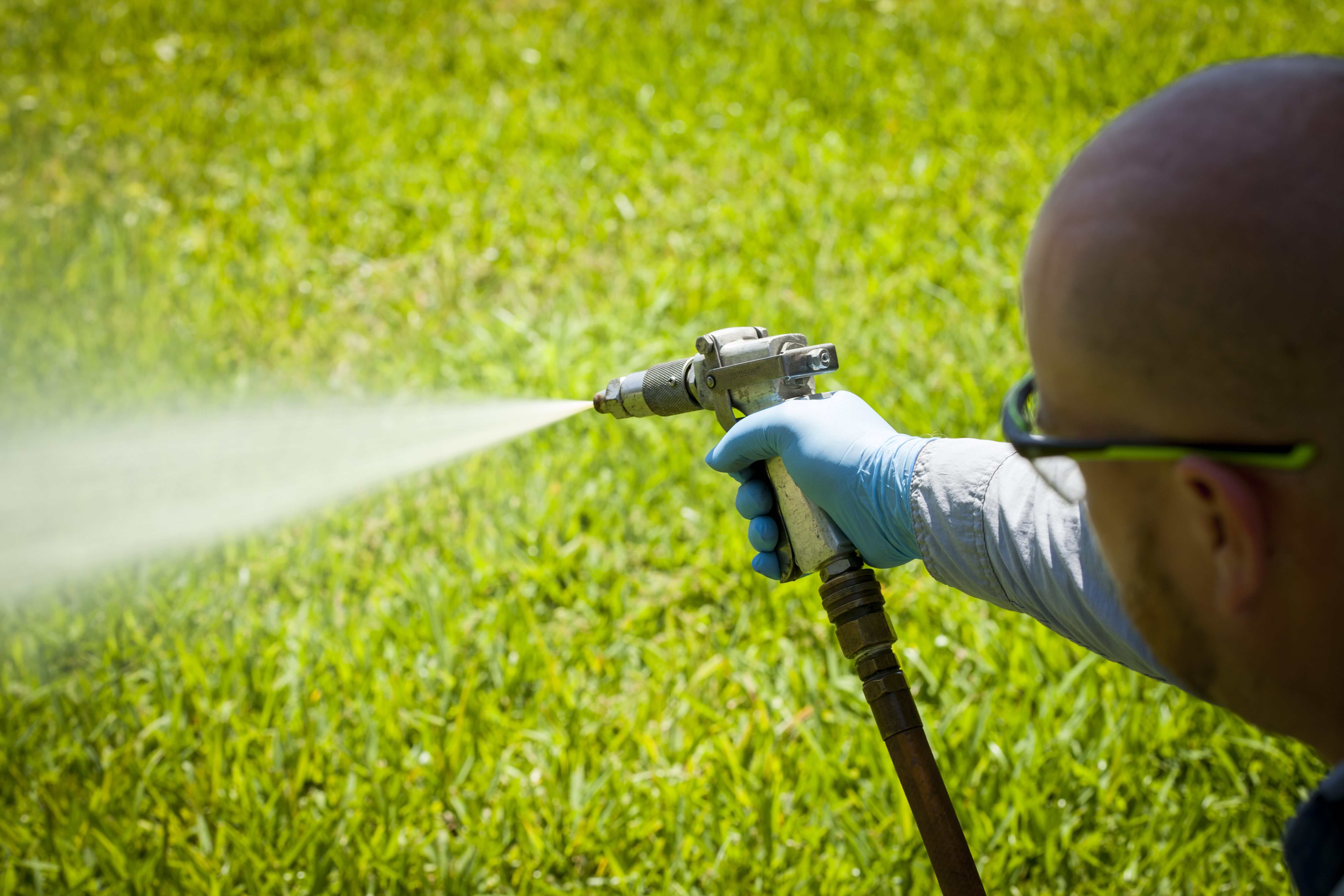 an expert in Lawn Disease Care in West Palm Beach