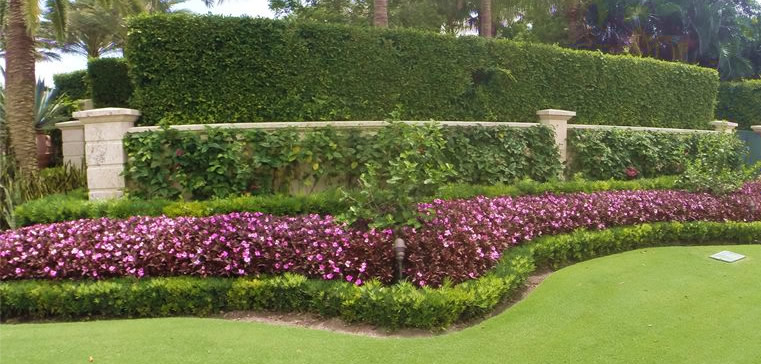 landscaping-companies-in-west-palm-beach