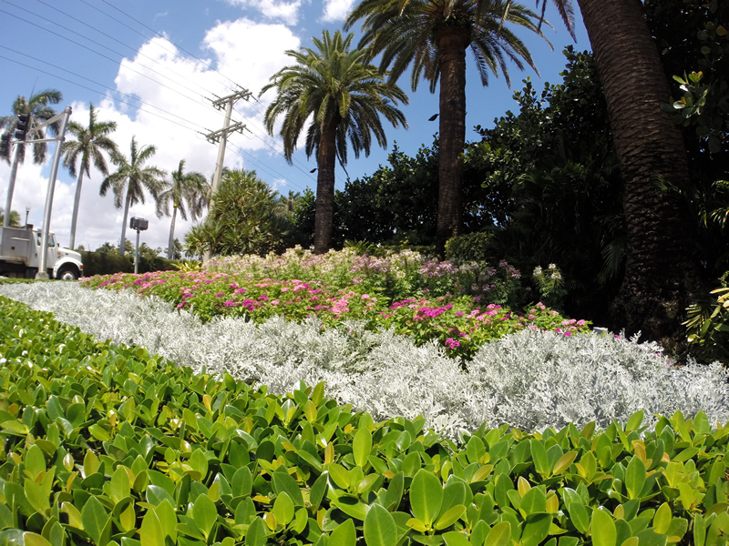 Boynton Beach Sprinkler Irrigation