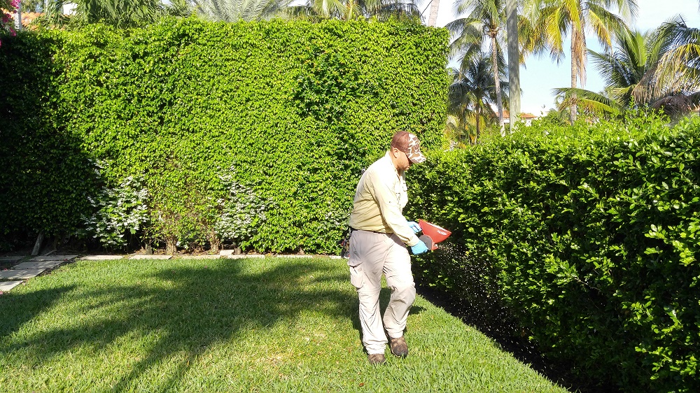 Landscape Maintenance Singer Island Weed Control