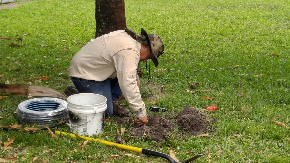 Lawn Care Lawn Maintenance Flamingo Park  