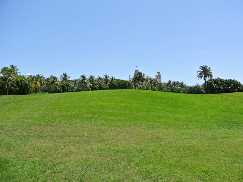 lawn-care-west-palm-beach