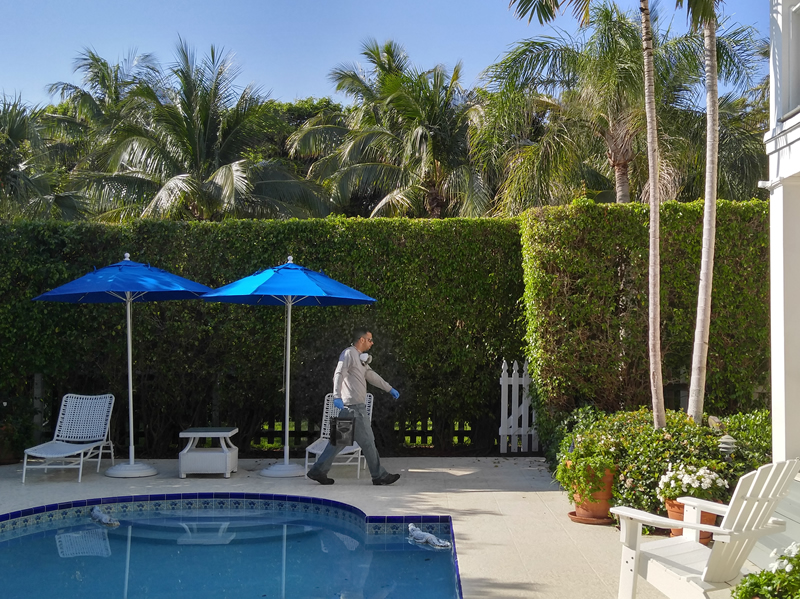 Boca Raton Landscape Maintenance