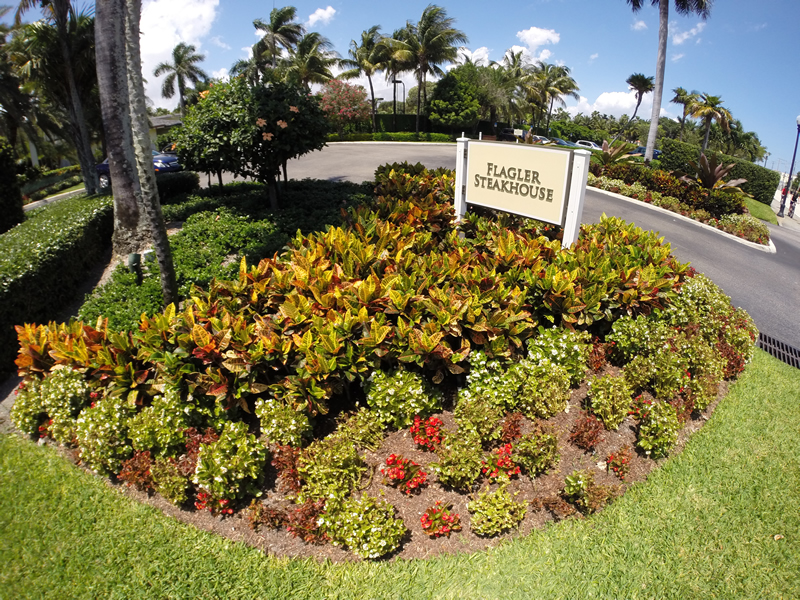 Residential Landscape Design and Maintenance Wellington Florida