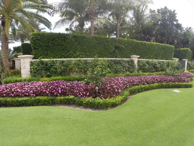 Juno Beach Florida Residential Landscaping