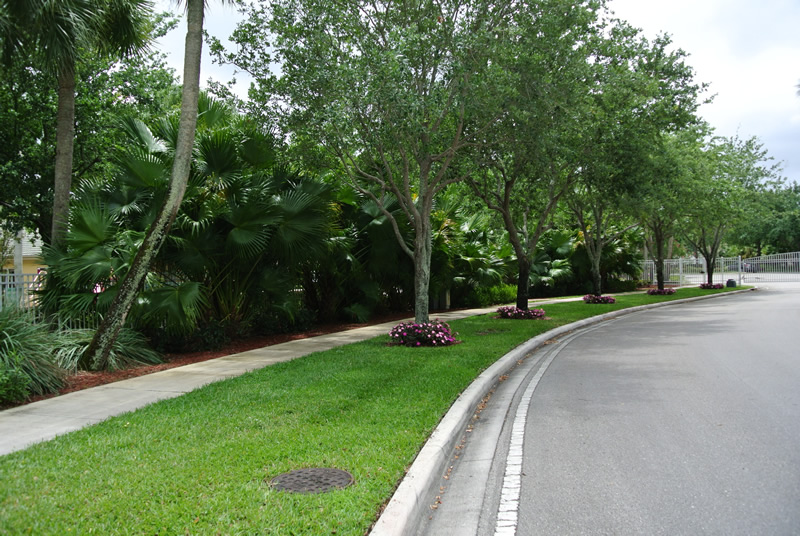 Wellington Florida Residential Landscaping