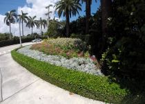 Landscape Maintenance Serivces South Florida 30
